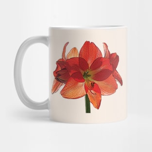 Orange Hippeastrum Amaryllis Mug